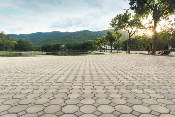 Best Custom Driveway Pavers  in Kenton, TN